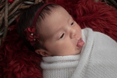 2020-11-15_Ensaio_Newborn_Sophia_Mae_Livia_Pai_Lucas-0273-Editar