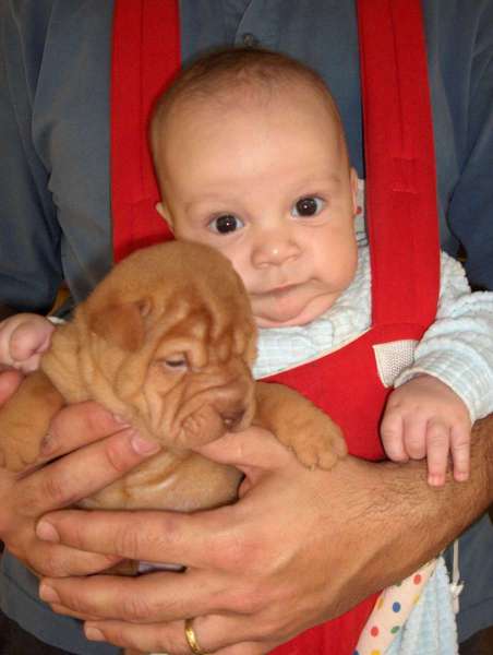 Femea-chocolate-diluida-26-dias-010