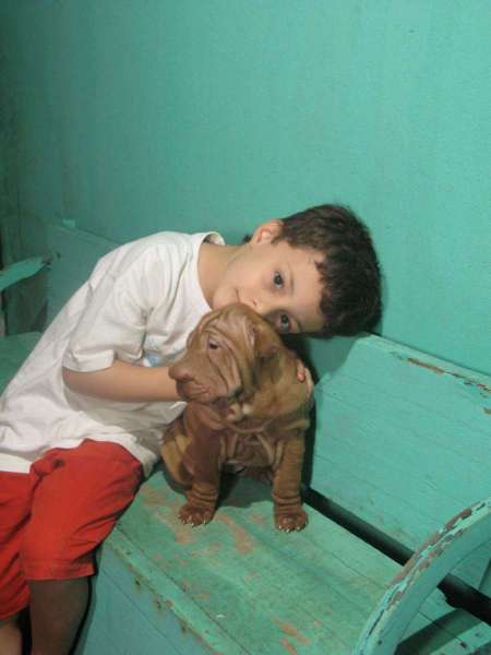 Femea-chocolate-diluida-48-dias-027