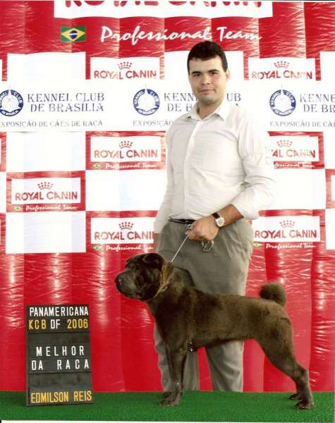 Syssa-Melhor-da-Raca