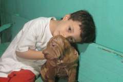 Femea-chocolate-diluida-48-dias-027