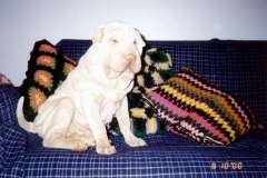 Lilo-no-sofa-da-vovo-Sirlei
