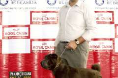 Syssa-Melhor-da-Raca